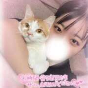 ヒメ日記 2025/05/27 06:11 投稿 しゅり 久喜鷲宮ちゃんこ