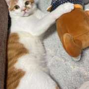 ヒメ日記 2025/06/10 19:21 投稿 しゅり 久喜鷲宮ちゃんこ