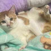 ヒメ日記 2025/07/05 20:21 投稿 しゅり 久喜鷲宮ちゃんこ