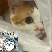 ヒメ日記 2025/07/24 23:31 投稿 しゅり 久喜鷲宮ちゃんこ