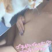 ヒメ日記 2025/08/10 00:21 投稿 しゅり 久喜鷲宮ちゃんこ