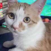 ヒメ日記 2025/08/26 21:51 投稿 しゅり 久喜鷲宮ちゃんこ