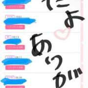 ヒメ日記 2025/09/05 17:02 投稿 しゅり 久喜鷲宮ちゃんこ