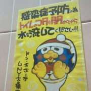 ヒメ日記 2025/09/11 17:02 投稿 しゅり 久喜鷲宮ちゃんこ