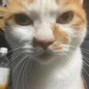 ヒメ日記 2025/09/12 19:27 投稿 しゅり 久喜鷲宮ちゃんこ