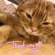 ヒメ日記 2025/09/23 01:21 投稿 しゅり 久喜鷲宮ちゃんこ