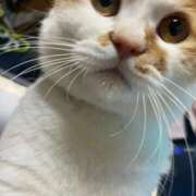 ヒメ日記 2025/09/25 00:11 投稿 しゅり 久喜鷲宮ちゃんこ