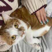 ヒメ日記 2025/11/07 16:51 投稿 しゅり 久喜鷲宮ちゃんこ