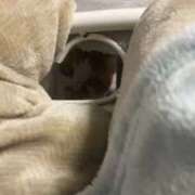 ヒメ日記 2025/11/14 00:01 投稿 しゅり 久喜鷲宮ちゃんこ