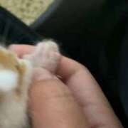 ヒメ日記 2025/11/22 12:21 投稿 しゅり 久喜鷲宮ちゃんこ