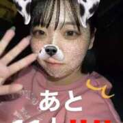 ヒメ日記 2025/11/24 19:51 投稿 しゅり 久喜鷲宮ちゃんこ