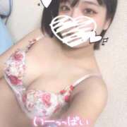 ヒメ日記 2025/11/28 18:31 投稿 しゅり 久喜鷲宮ちゃんこ