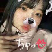 ヒメ日記 2025/12/15 01:31 投稿 しゅり 久喜鷲宮ちゃんこ