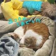 ヒメ日記 2026/01/03 00:31 投稿 しゅり 久喜鷲宮ちゃんこ