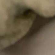 ヒメ日記 2026/01/08 17:01 投稿 しゅり 久喜鷲宮ちゃんこ