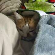 ヒメ日記 2026/01/20 00:21 投稿 しゅり 久喜鷲宮ちゃんこ