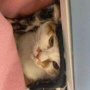 ヒメ日記 2026/01/22 23:01 投稿 しゅり 久喜鷲宮ちゃんこ