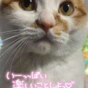 ヒメ日記 2026/02/26 18:01 投稿 しゅり 久喜鷲宮ちゃんこ