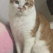 ヒメ日記 2026/03/05 19:31 投稿 しゅり 久喜鷲宮ちゃんこ