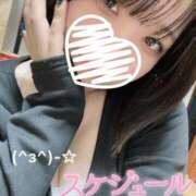 ヒメ日記 2026/03/09 04:31 投稿 しゅり 久喜鷲宮ちゃんこ