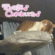 ヒメ日記 2026/04/07 01:01 投稿 しゅり 久喜鷲宮ちゃんこ