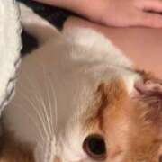 ヒメ日記 2026/05/27 00:01 投稿 しゅり 久喜鷲宮ちゃんこ