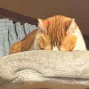 ヒメ日記 2026/06/04 05:51 投稿 しゅり 久喜鷲宮ちゃんこ