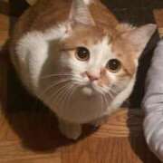 ヒメ日記 2026/09/02 16:11 投稿 しゅり 久喜鷲宮ちゃんこ