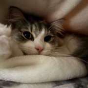 ヒメ日記 2024/12/19 23:57 投稿 ほのか マリン宮殿雄琴店