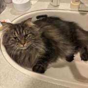 ヒメ日記 2024/12/26 10:37 投稿 ほのか マリン宮殿雄琴店