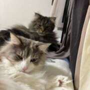 ヒメ日記 2025/01/13 16:37 投稿 ほのか マリン宮殿雄琴店