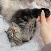 ヒメ日記 2025/01/18 08:17 投稿 ほのか マリン宮殿雄琴店