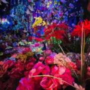 ヒメ日記 2025/01/24 21:37 投稿 ほのか マリン宮殿雄琴店