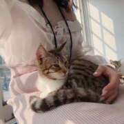 ヒメ日記 2025/01/26 00:17 投稿 ほのか マリン宮殿雄琴店