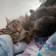 ヒメ日記 2025/03/10 21:31 投稿 ほのか マリン宮殿雄琴店