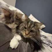 ヒメ日記 2025/03/25 17:37 投稿 ほのか マリン宮殿雄琴店