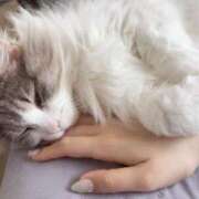 ヒメ日記 2025/05/25 11:24 投稿 ほのか マリン宮殿雄琴店