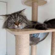 ヒメ日記 2025/06/23 16:07 投稿 ほのか マリン宮殿雄琴店