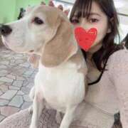 ヒメ日記 2025/06/24 09:07 投稿 ほのか マリン宮殿雄琴店