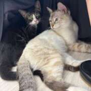 ヒメ日記 2025/06/26 13:56 投稿 ほのか マリン宮殿雄琴店