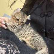 ヒメ日記 2025/07/16 21:37 投稿 ほのか マリン宮殿雄琴店