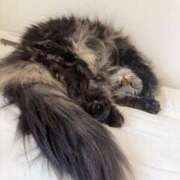 ヒメ日記 2025/07/24 13:27 投稿 ほのか マリン宮殿雄琴店