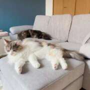 ヒメ日記 2025/08/16 17:58 投稿 ほのか マリン宮殿雄琴店