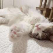 ヒメ日記 2025/08/26 19:57 投稿 ほのか マリン宮殿雄琴店