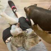 ヒメ日記 2025/08/29 20:47 投稿 ほのか マリン宮殿雄琴店