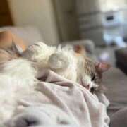 ヒメ日記 2025/09/14 20:57 投稿 ほのか マリン宮殿雄琴店