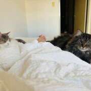 ヒメ日記 2025/09/21 13:25 投稿 ほのか マリン宮殿雄琴店