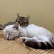 ヒメ日記 2025/10/06 12:47 投稿 ほのか マリン宮殿雄琴店