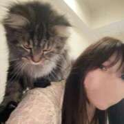 ヒメ日記 2025/10/07 07:37 投稿 ほのか マリン宮殿雄琴店