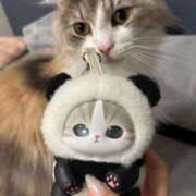 ヒメ日記 2025/10/26 05:57 投稿 ほのか マリン宮殿雄琴店